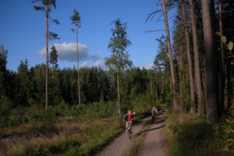 Aisetas camp Aisetėlė