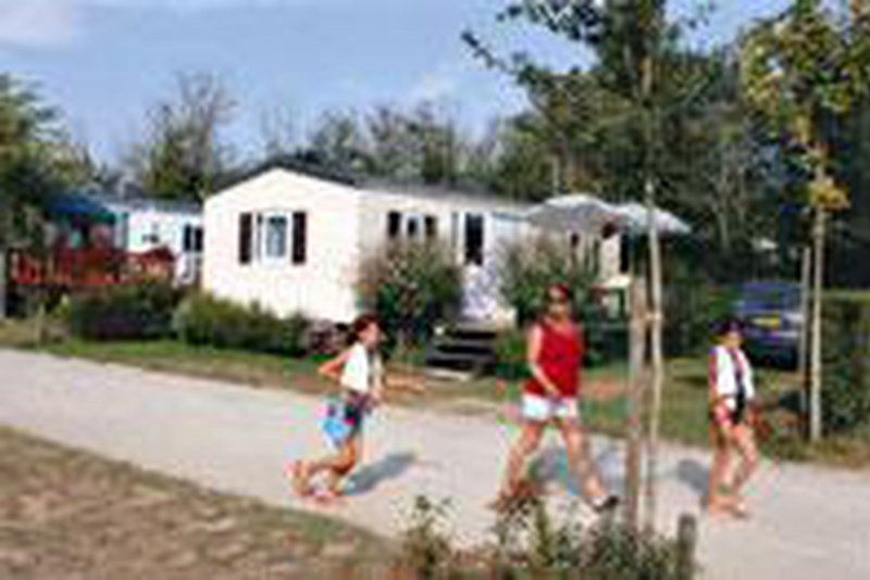 Camping les Genêts ***