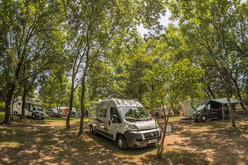 Camping Maslina