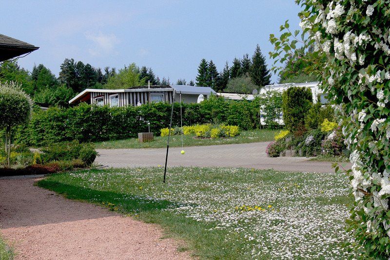 Schwarzwälder Hochwald