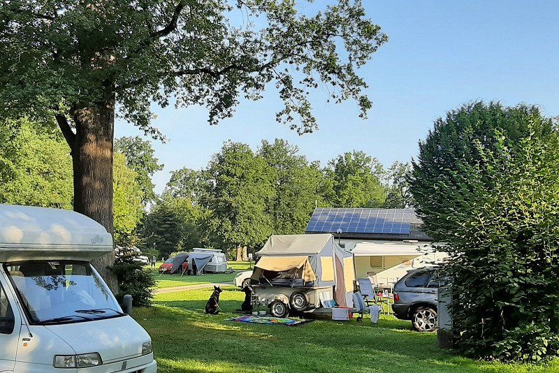 Camping im Eichenwald