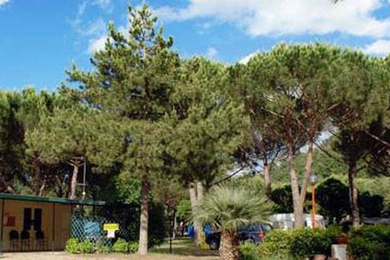Camping Amalasunta