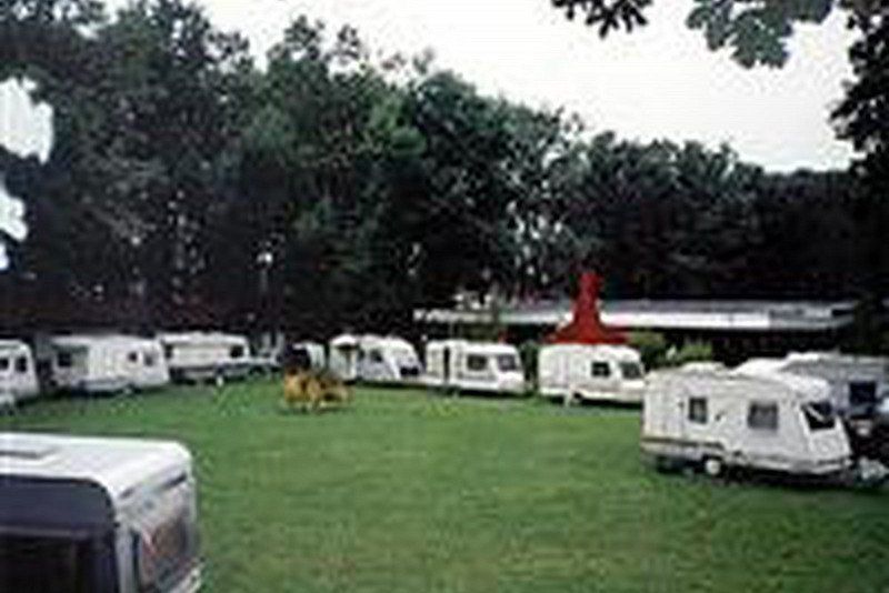 Camping International