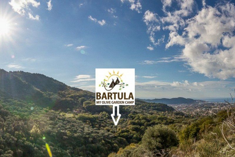 Bartula - My Olive Garden camp