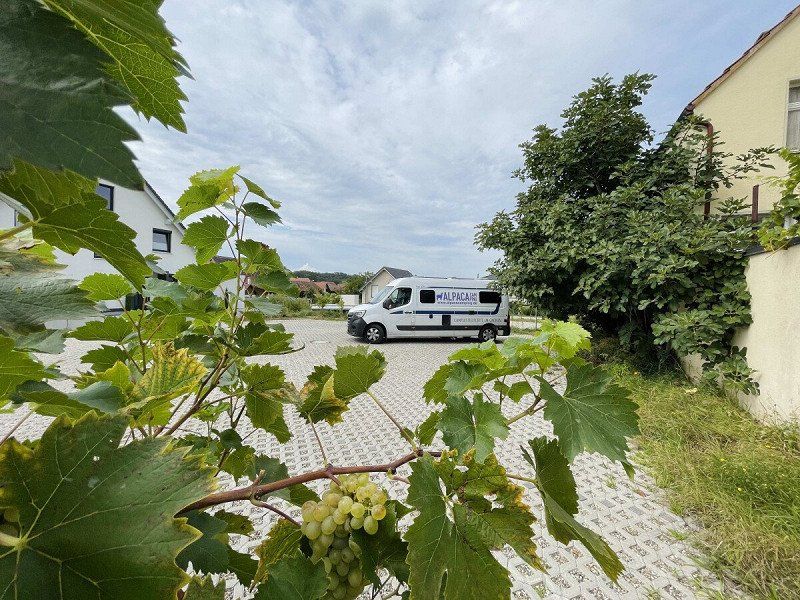 Privatstellplatz Camping auf einem befestigten Platz am Rande der Weinberge