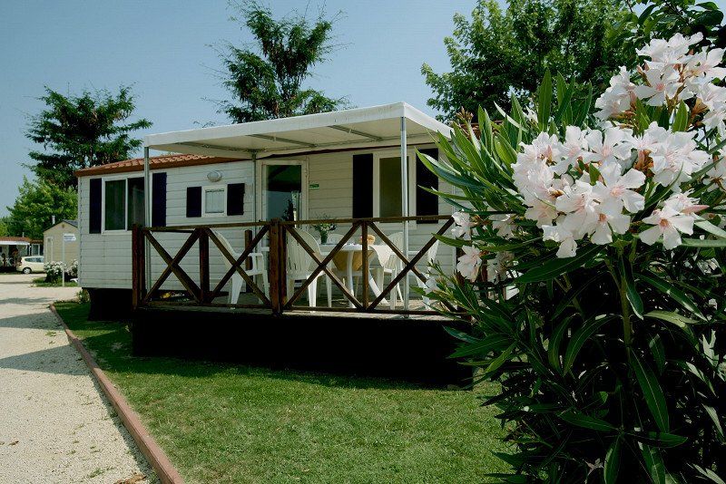 Camping Butterfly