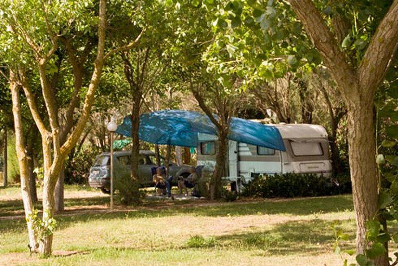 Camping Paradise
