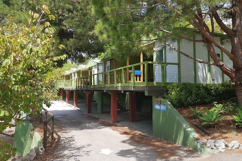 Camping el Pino