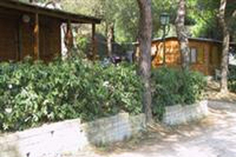Camping Belvedere