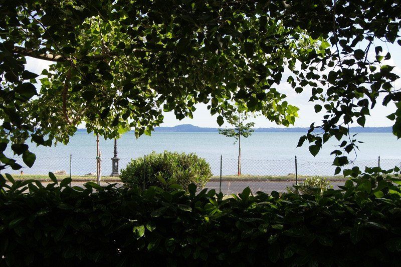 Camping Pineta