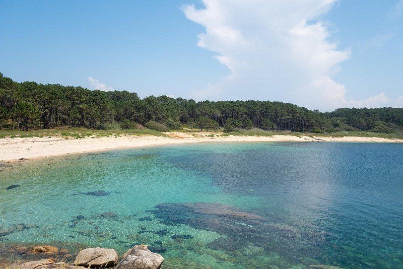 Camping Siglo Xxi