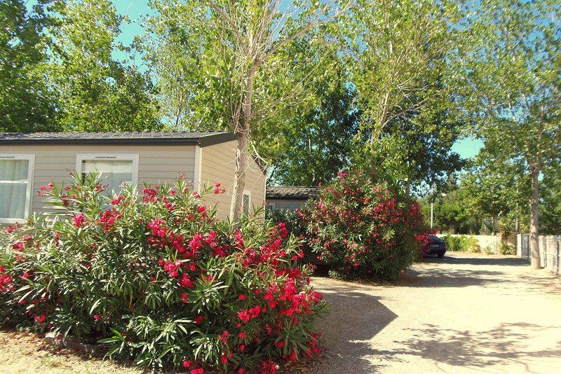 Flower Camping Le Rochelongue