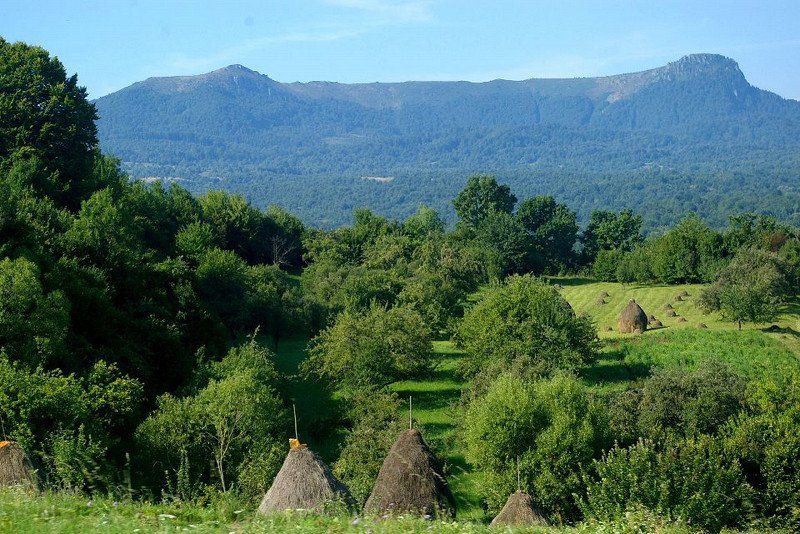 Babou Maramures