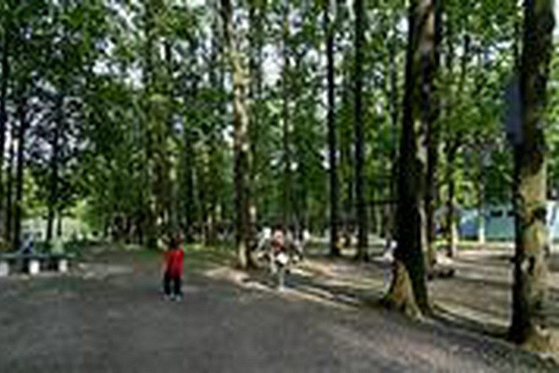 Camping International