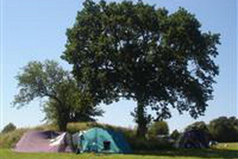 De Hvide Svaner Camping