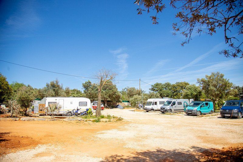 Oasis Surfcamp