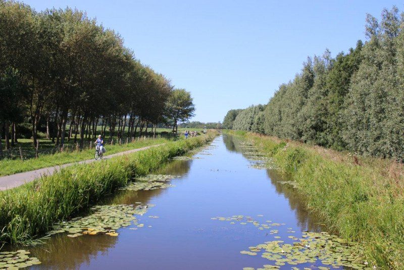 Vakantiepark Delftsehout