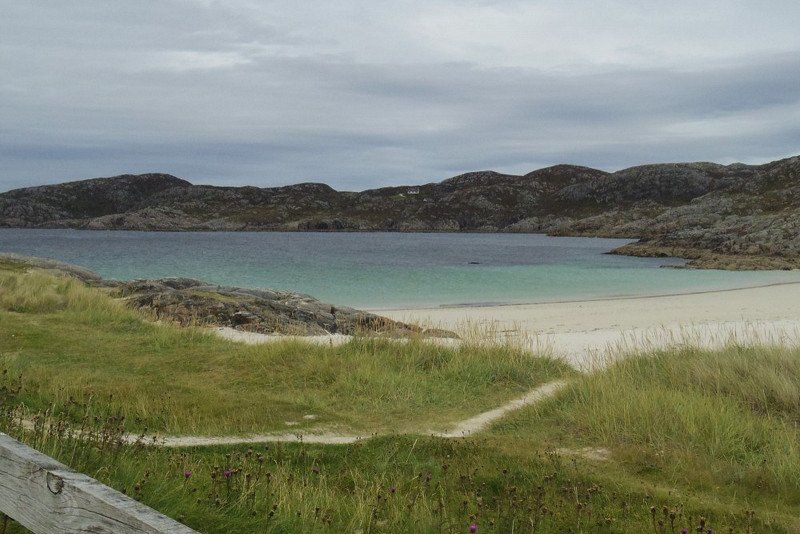 Campsite The Shore