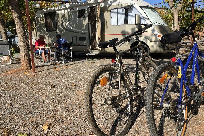 Camping los Naranjos