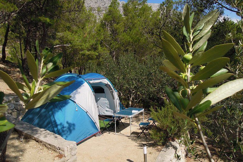Camp Artina