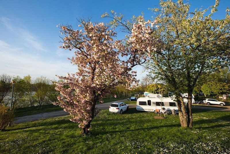 Camping du Pont de Bourgogne