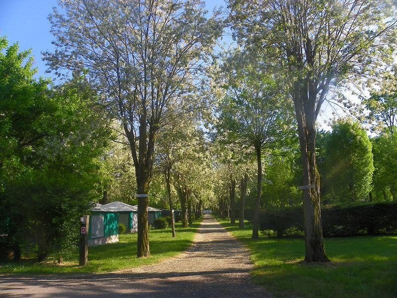 CAMPING Paradis Le Rocher DE LA Granelle