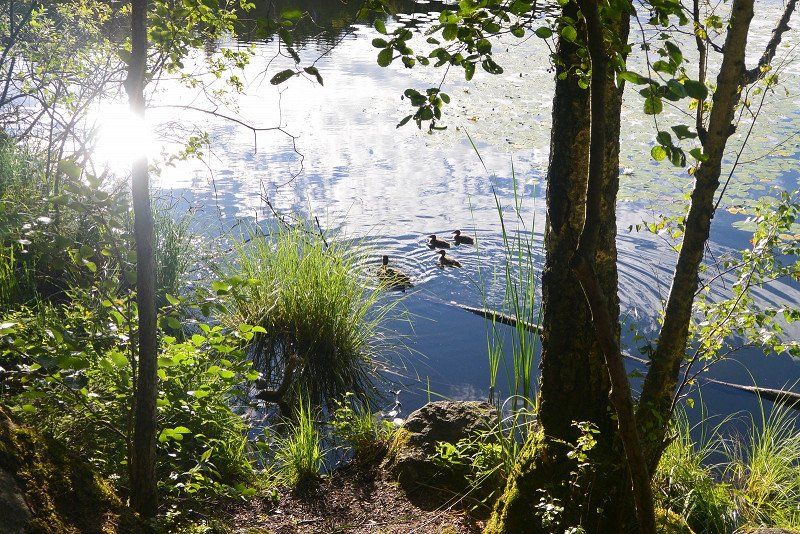 Ängby Camping