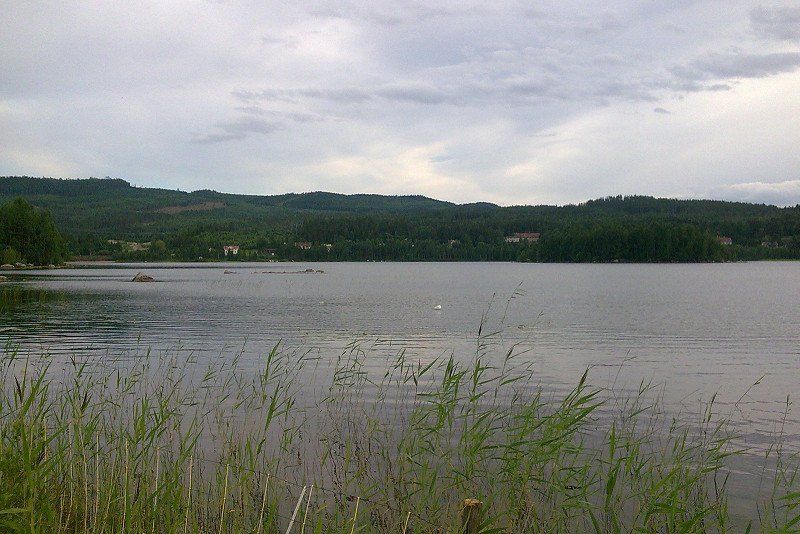 Träportens Camping i Borgsjö