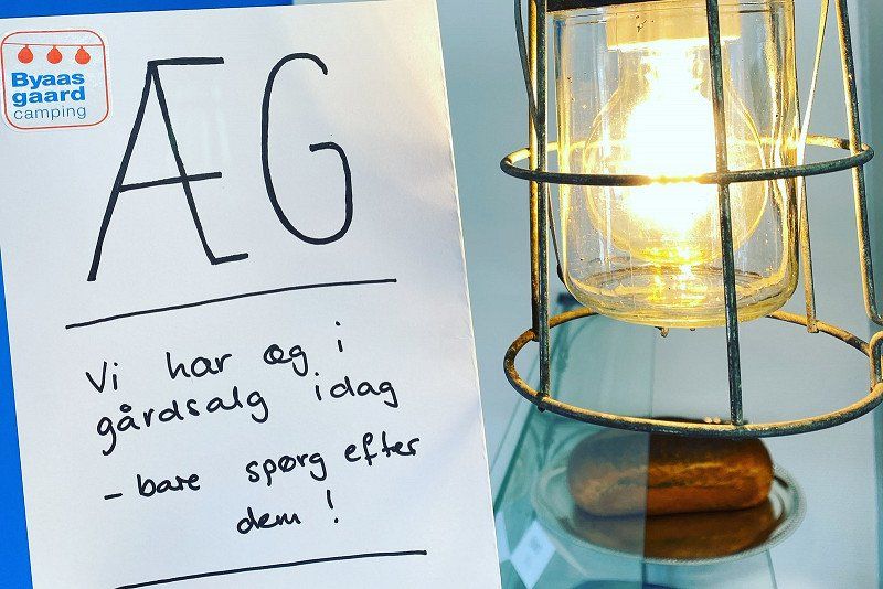 Byaasgaard - Naturecamping & Microfarming