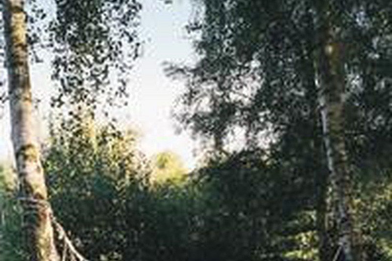 Højsager Camping