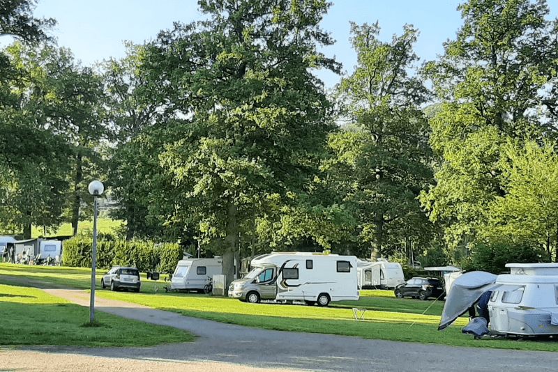 Camping im Eichenwald