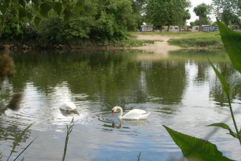 Camping L'oiselon