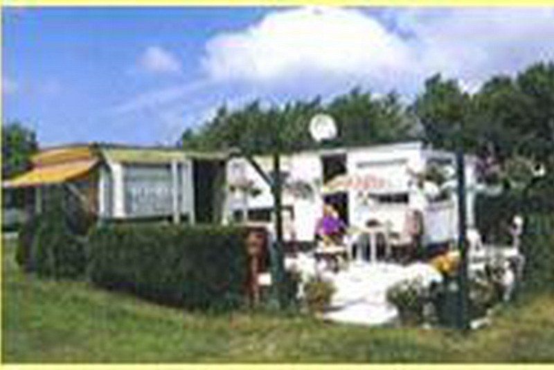 Camping Vogelenzang