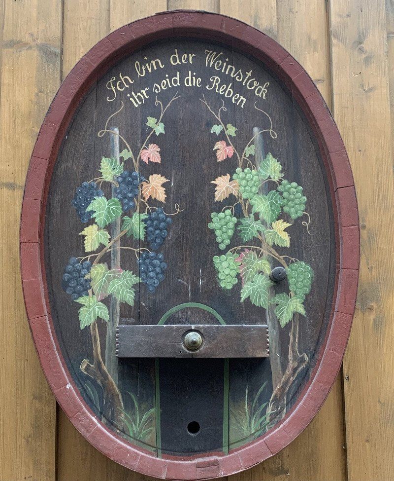 Privatstellplatz Blick auf die Weinreben