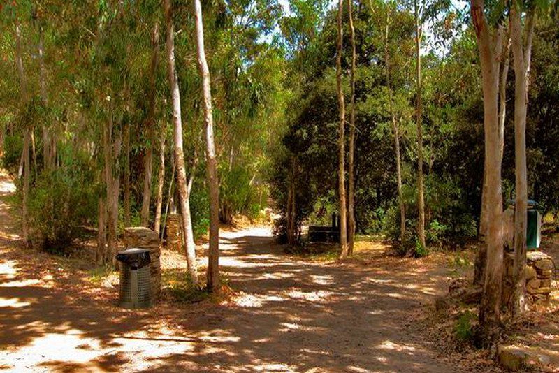 Camping Sciopadroxiu