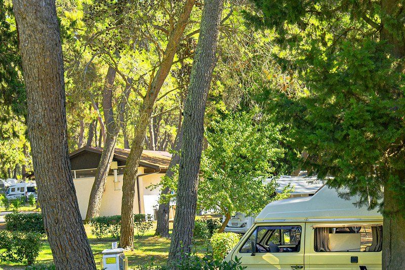 Camping Pineta