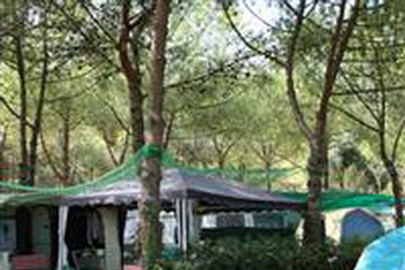 Camping Belvedere