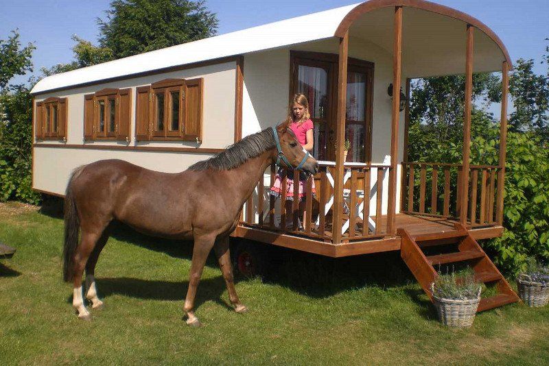 Comfort-Camping Seeburger See