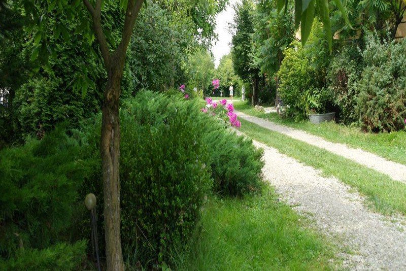 Camping de Oude Wilg