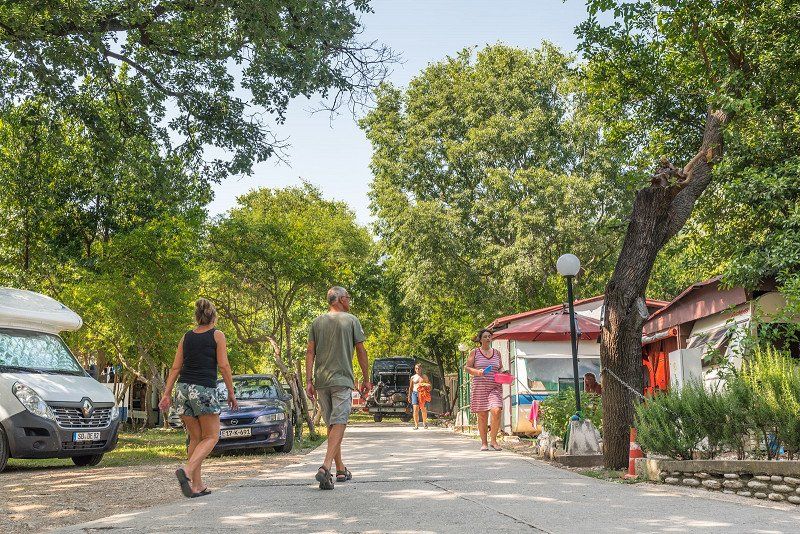 Camping Maslina