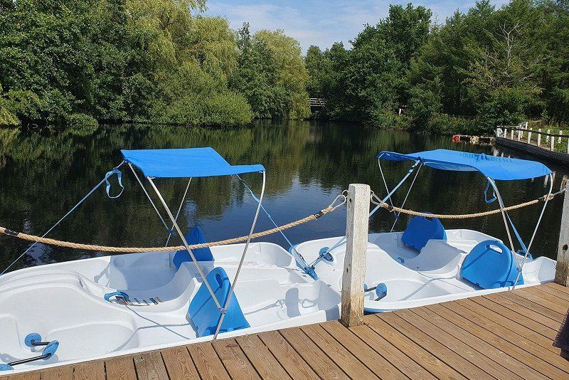 Family Camp Marielyst