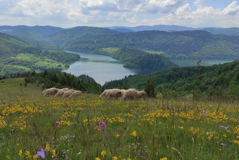 Filipov breg campground