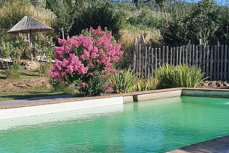 Camping Il Saregeto