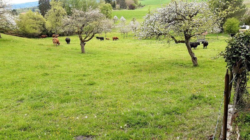 Privatstellplatz Stellplatz in idyllischer Lage
