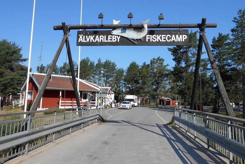 Älvkarleby Fiskecamp Swecamp