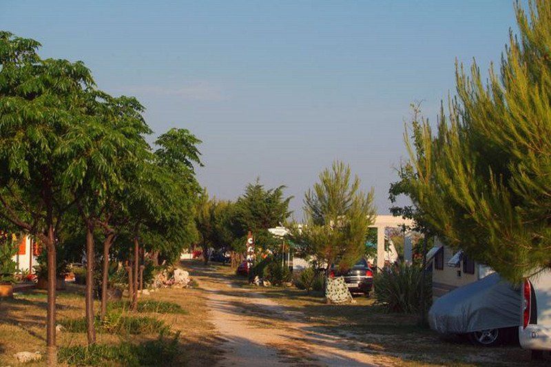 Camp Bakija