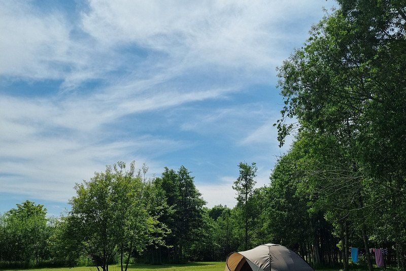 Campsite 37A
