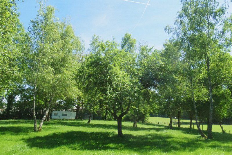 Camping aire naturelle de Chatard Louis