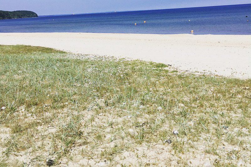 Vejlby Fed Strand Camping