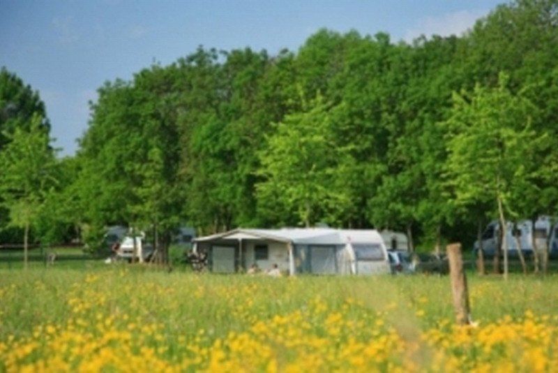 Camping de Tournus